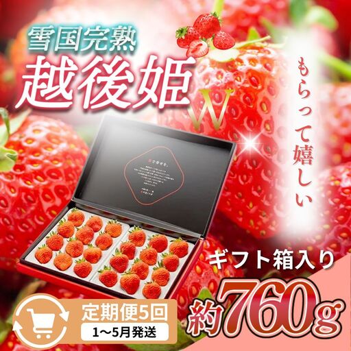 【先行予約 定期便5回】越後姫 いちご 雪国完熟 ダブル760g×5回 いちご