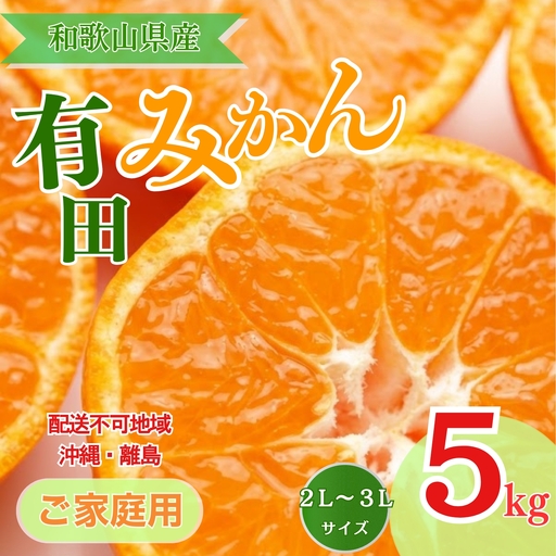 【先行予約】【ご家庭用】和歌山有田みかん約5kg(2L、3Lサイズ)【美浜町】 | みかん