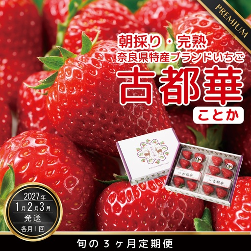 【数量限定】【先行予約】【1・2・3月発送】奈良県特産 高級ブランドいちご「古都華」旬の３ヶ月定期便 