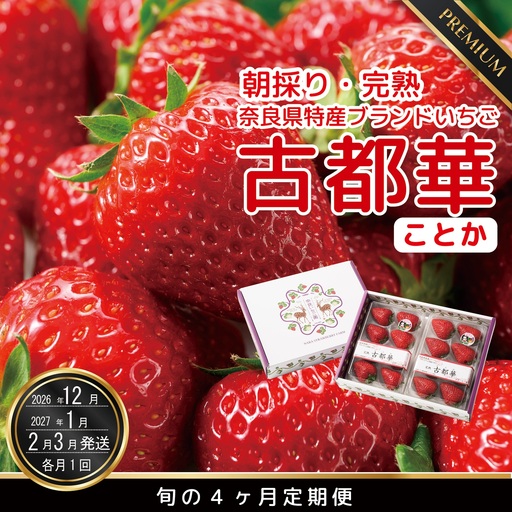 [12月26日決済完了分まで年内発送][数量限定][先行予約][12・1・2・3月発送]奈良県特産 高級ブランドいちご「古都華」旬の4ヶ月定期便