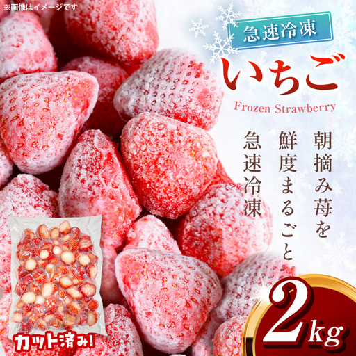 冷凍いちご とちあいか 2kg カット済み 訳あり