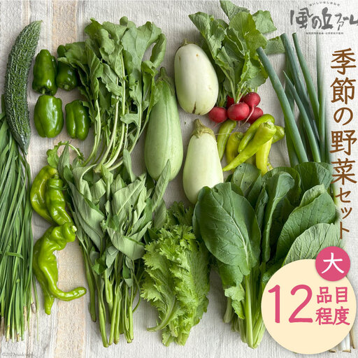 季節の野菜セット大