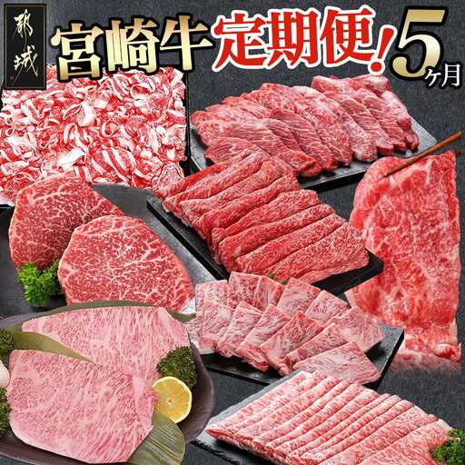 宮崎牛定期便(5ヶ月)〔T60(5)-0102〕_(都城市) ブランド牛肉 国産黒毛和牛 赤身 バラ 切り落とし サーロインステーキ 焼き肉 様々な宮崎牛の部位を5ヶ月間毎月お届け