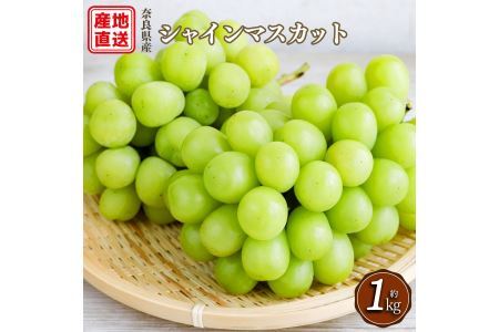 シャインマスカット 2房 （ 約1kg ）| フルーツ シャインマスカット 