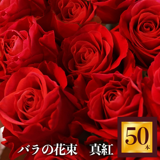 ＼先行予約 2027年10月～2028年4月発送／バラ の 花束 （ 50本 ） 赤 | バラ 花束 奈良県 平群町