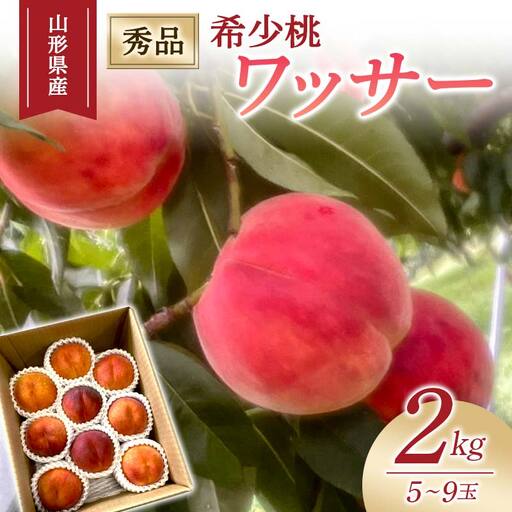 【2026年度先行予約】希少桃 ワッサー 2kg 5玉～9玉 FSY-1026
