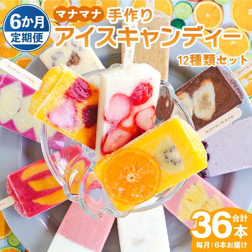 アイス [全6回定期便]12種類のアイス 各月6本入 Wys-0023