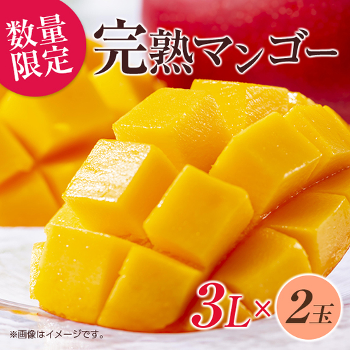 オンライン決済限定 数量限定 完熟マンゴー 3L×2玉 フルーツ 果物 くだもの 国産_DD8-23