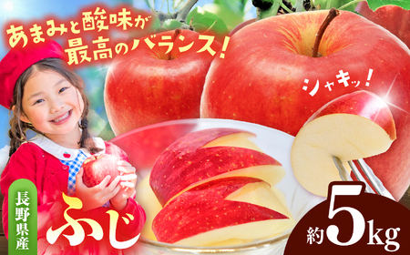 先行受付 令和8年産 有機肥料栽培 りんご ふじ 約5kg【011-05】