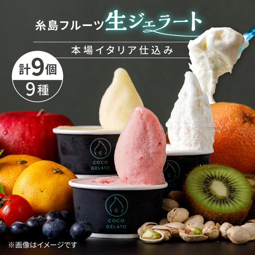 糸島 フルーツ 生ジェラート 9個セット 糸島市 / COCO GELATO 