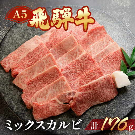 飛騨牛 ミックスカルビ  176g（約2人前）【冷凍 真空】【11-75】