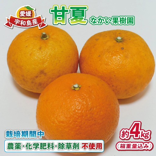 甘夏 4kg 栽培期間中 農薬 化学肥料 除草剤 不使用 なかい果樹園 あまなつ あまなつ B010-144003