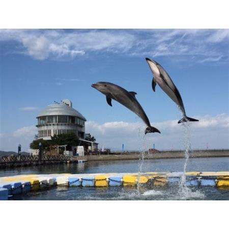 「瀬戸・たかまつネットワーク」香川県 (さぬき市・三木町・東かがわ市方面) 2日間