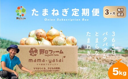 【3回定期便】mama-yasai たまねぎ５kg