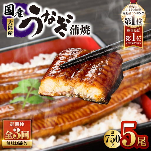 2082-1 鹿児島県 大隅産 うなぎ 蒲焼 5尾（ 750g ）【 3ヶ月 定期 】 KN007-T04 魚 冷凍 鰻