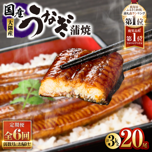 2084-1 鹿児島県 大隅産 うなぎ 蒲焼 20尾（ 3kg ）【 6ヶ月 定期 】 KN007-T06 魚 冷凍 鰻