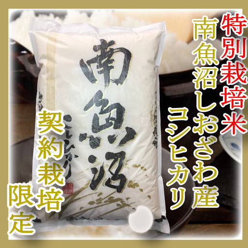 【令和7年産】【精米５Kg】特別栽培 生産者限定  南魚沼しおざわ産コシヒカリ【銘柄米 ブランド米 精米 こしひかり コシヒカリ 魚沼産 新潟米 産地直送 お米 米 こめ コメ ご飯 御飯 ごはん】