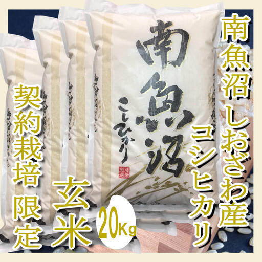 【令和7年産】【玄米２０Kg】●玄米● 生産者限定 南魚沼しおざわ産コシヒカリ【銘柄米 ブランド米 玄米 こしひかり コシヒカリ 魚沼産 新潟米 産地直送 お米 米 こめ コメ ご飯 御飯 ごはん】