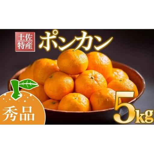 [早期予約] 国産 ぽんかん 秀品 5kg 旬 季節 新鮮 ポンカン みかん オレンジ 柑橘 果物 フルーツ 果汁 甘い 産地 直送 デザート スイーツ ゼリー ジュース アイス おすすめ 送料無料 お歳暮 贈答 ギフト 年末 年始 お正月 高知県 須崎市 AWA006_x