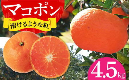 【デコポンの子供】マコポン4.5kg[EAA006]次世代のデコポン 先行予約