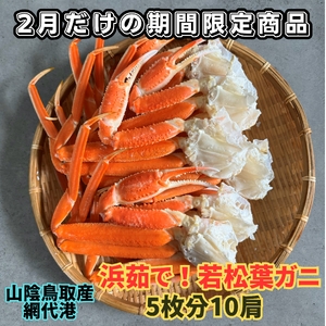 【22035】鳥取網代港　地元で大人気　浜茹で！若松葉ガニ（中5枚10肩）【さかなや新鮮組】