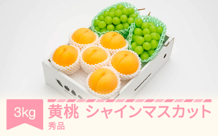 先行予約 有袋黄桃 秀品＆シャインマスカット 品種おまかせ 詰め合わせ 約3kg 令和八年産 2026年産 果物 フルーツ 桃 送料無料 ns-fsosx3 ※沖縄・離島への配送不可