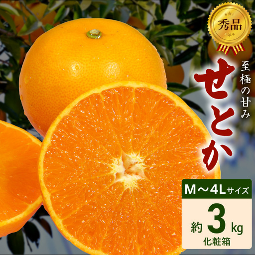 【2027年先行予約】秀品 せとか 和歌山 有田 化粧箱 M～4Lサイズ 大きさお任せ約３kg_DZ6206
