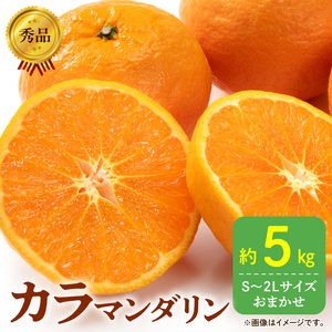 【2027年先行予約】秀品 カラマンダリン なつみ 和歌山 有田 秀品 S～2Lサイズ 大きさお任せ 約5kg_DZ6212
