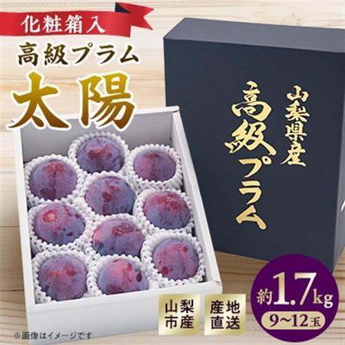 【2027年発送先行受付】山梨市産プラム　太陽　約1.7kg(9～12玉)【配送不可地域：離島・沖縄県】【1431878】