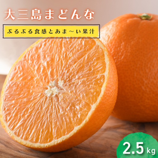 【先行予約】【数量限定】 ホリ田ヤ 大三島まどんな 2.5キロ