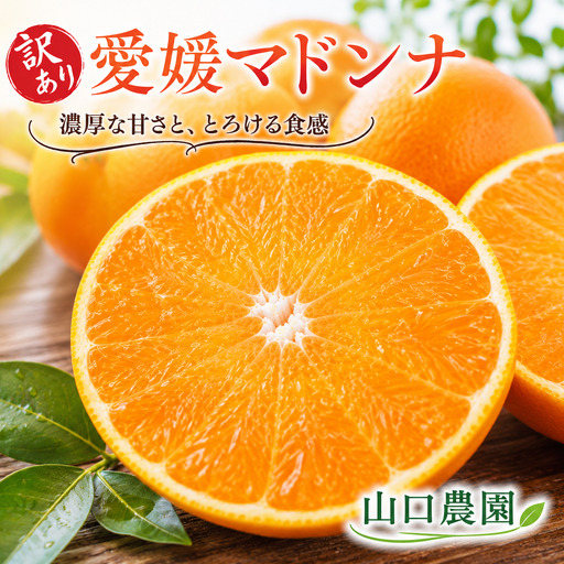 【先行予約】【訳あり】愛南マドンナ 5kg 紅まどんなと同品種 山口農園