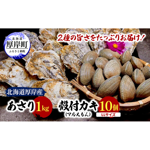 北海道 厚岸産 砂抜き済み あさり 1kg ＆ ブランド牡蠣 マルえもん 殻付き LLサイズ 10個 【光輝】 [ 魚貝類 海鮮 海の幸 みそ汁 酒蒸し アサリバタ 産地直送 生食用牡蠣 生食用 牡蠣 カキ ］