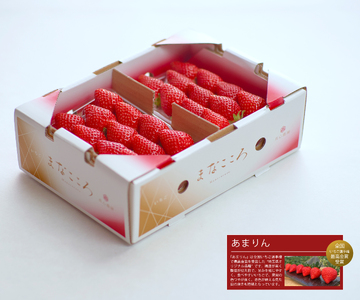 【先行予約】いちご あまりん 260g×2 苺 あまりん＼ 期間限定 特別寄附額 ／