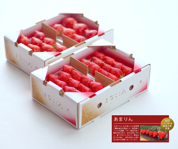 【先行予約】いちご あまりん 260g×4P 苺 あまりん　＼ 期間限定 特別寄附額 ／