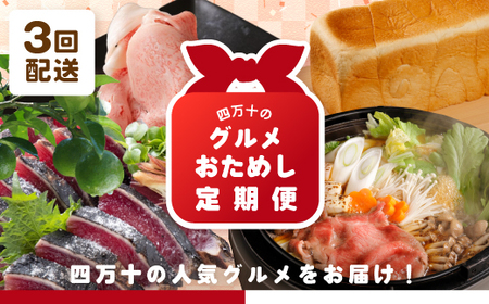 39210-999-9011．【3回定期便】四万十のグルメおためし定期便3万円コース