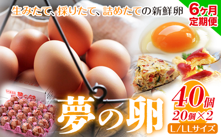 6ヶ月 定期便 卵 たまご 定期便 夢の卵 20個入り x 2セット L/LLサイズ[お申込み月翌月から出荷開始]株式会社めぐみ 岡山県 浅口市 送料無料 大容量 大箱 たっぷり Lサイズ LLサイズ