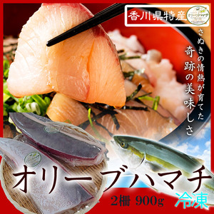 オリーブハマチ　冷凍　柵２本【A-105】【予約受付：令和8年11月頃よりご用意でき次第発送！】