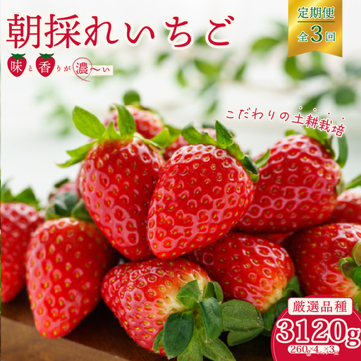いちご[定期コース]厳選いちご3種 4パック× 3回発送[2027年1月以降順次発送]