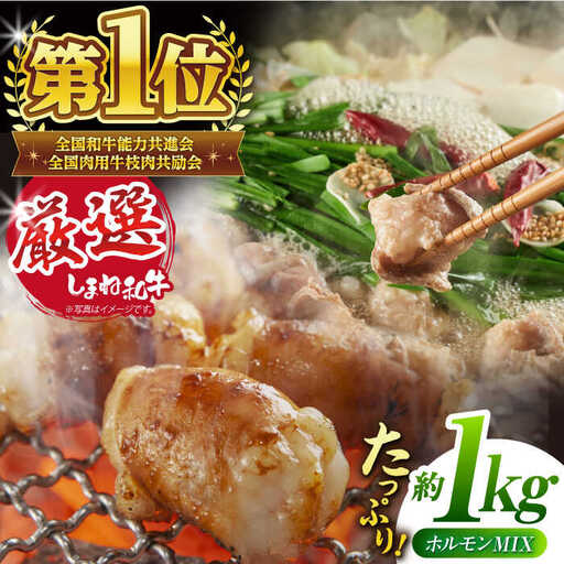 和牛 極上厳選!受賞歴多数 しまね和牛 ミックスホルモン(1kg) 島根県松江市/株式会社O.R.C[ALEF006] 和牛 和牛