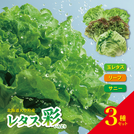 【先行予約】レタス彩（いろどり）3種セット（2026年9月以降順次発送）  OSU003