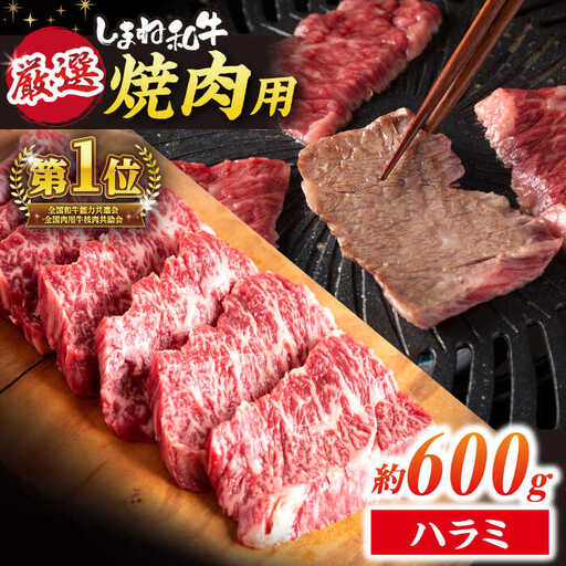 [スピード配送]ハラミ 600g (250g×3パック) 小分け焼肉 熟成 牛肉 ハラミ [ALEF008]