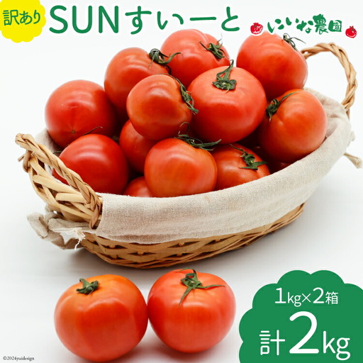 [期間限定発送] 訳あり トマト SUNすいーと 1kg×2箱