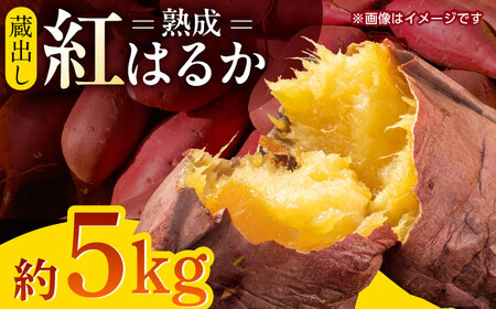 先行予約 熟成紅はるか約5kg サイズバラバラ さつまいも密芋サツマイモ