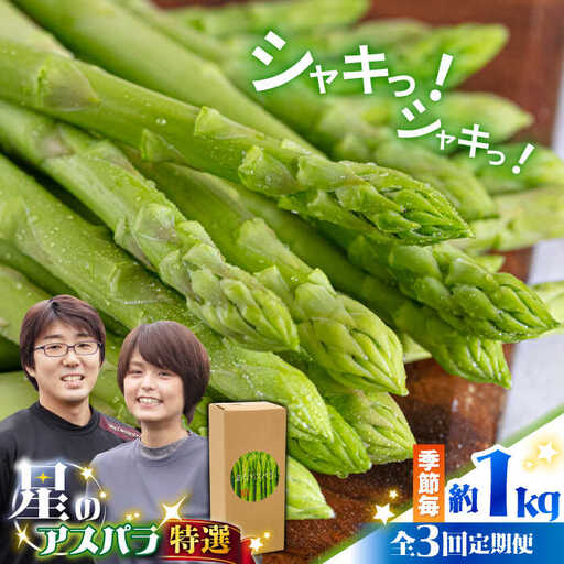 【3回定期便】【星のアスパラ】春・夏・秋 の グリーン アスパラガス 約1kg / アスパラ 野菜 / 南島原市 / ほしのYA [SEY013]