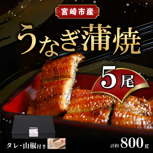 うなぎ 蒲焼 うなぎ[国産 5尾 800g]