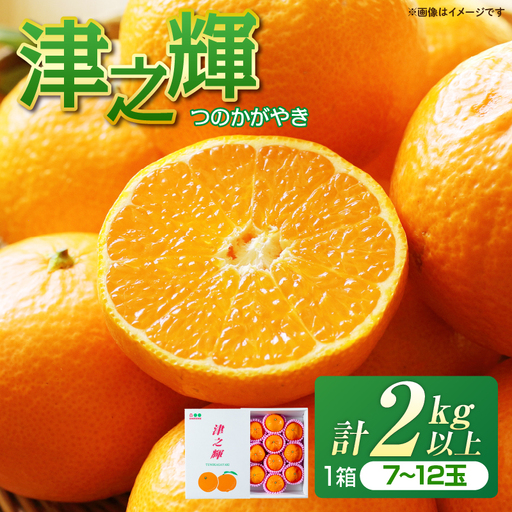 先行予約 みかん 津之輝 つのかがやき 2kg 希少 L ～ 4L フルーツ 果物 くだもの 柑橘_AAV22-26