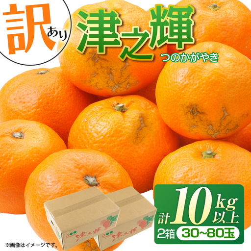 先行予約 訳あり みかん 津之輝 つのかがやき 10kg 希少 L ～ 4L サイズ不揃い フルーツ_DC57-26
