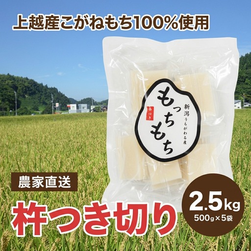 【500袋限定】もっちもち 杵つき餅 こがねもち 5袋50個 もっちもち