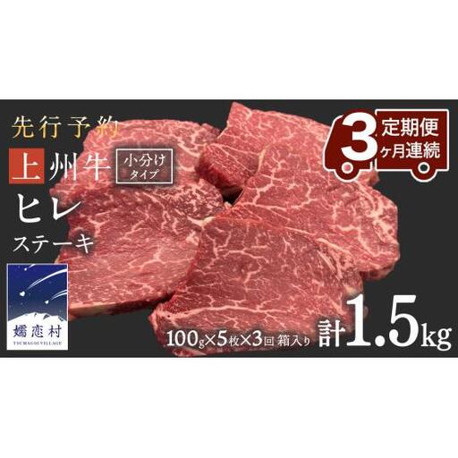 《 定期便 》 上州牛 ヒレステーキ 100g × 5枚 3ヶ月 連続お届け [AH020tu]