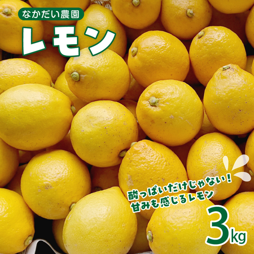 【先行受付】【2026年12月～発送】栽培期間中農薬不使用「レモン」約3kg ku033-001-26